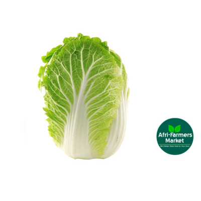 Chinese cabbage