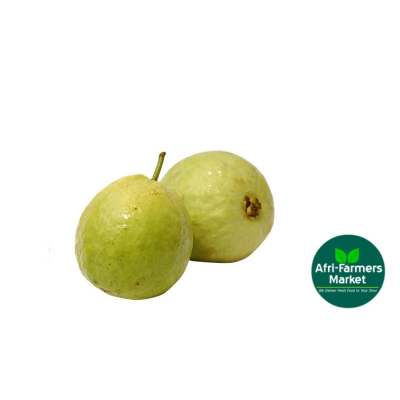 Guava (amapera)