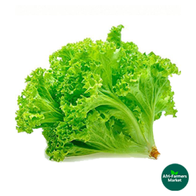 Lettuce